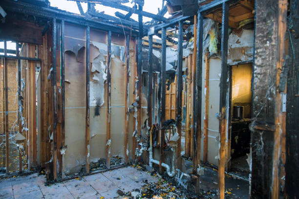 Professional Smoke Damage Removal technician working in Franklin Park, PA